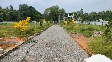  Plot For Sale in Kechery