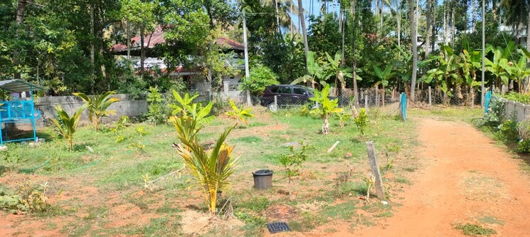 Garden, cheroor  6098 Sq.Ft. Plot In Cheroor Thrissur 8974017