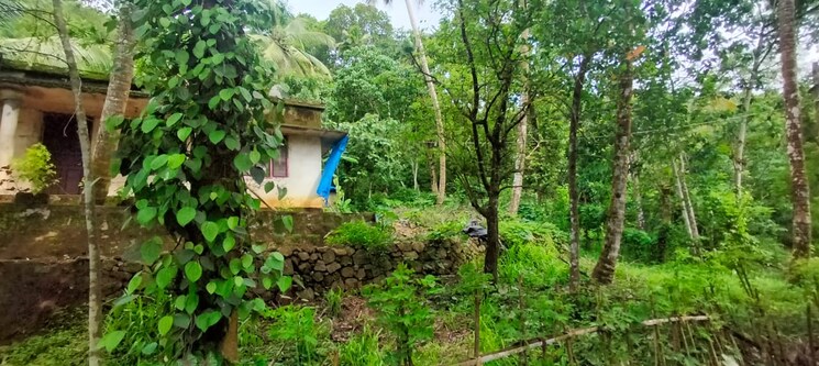 Exterior View, poothol  3 Acre Plot In Poothol Thrissur 8974024