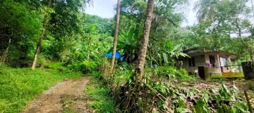  Plot – Exterior View View at Poothol - for Sale