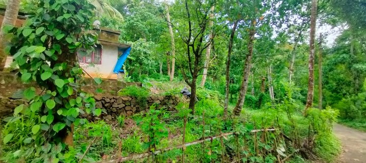 Exterior View, poothol  3 Acre Plot In Poothol Thrissur 8974024