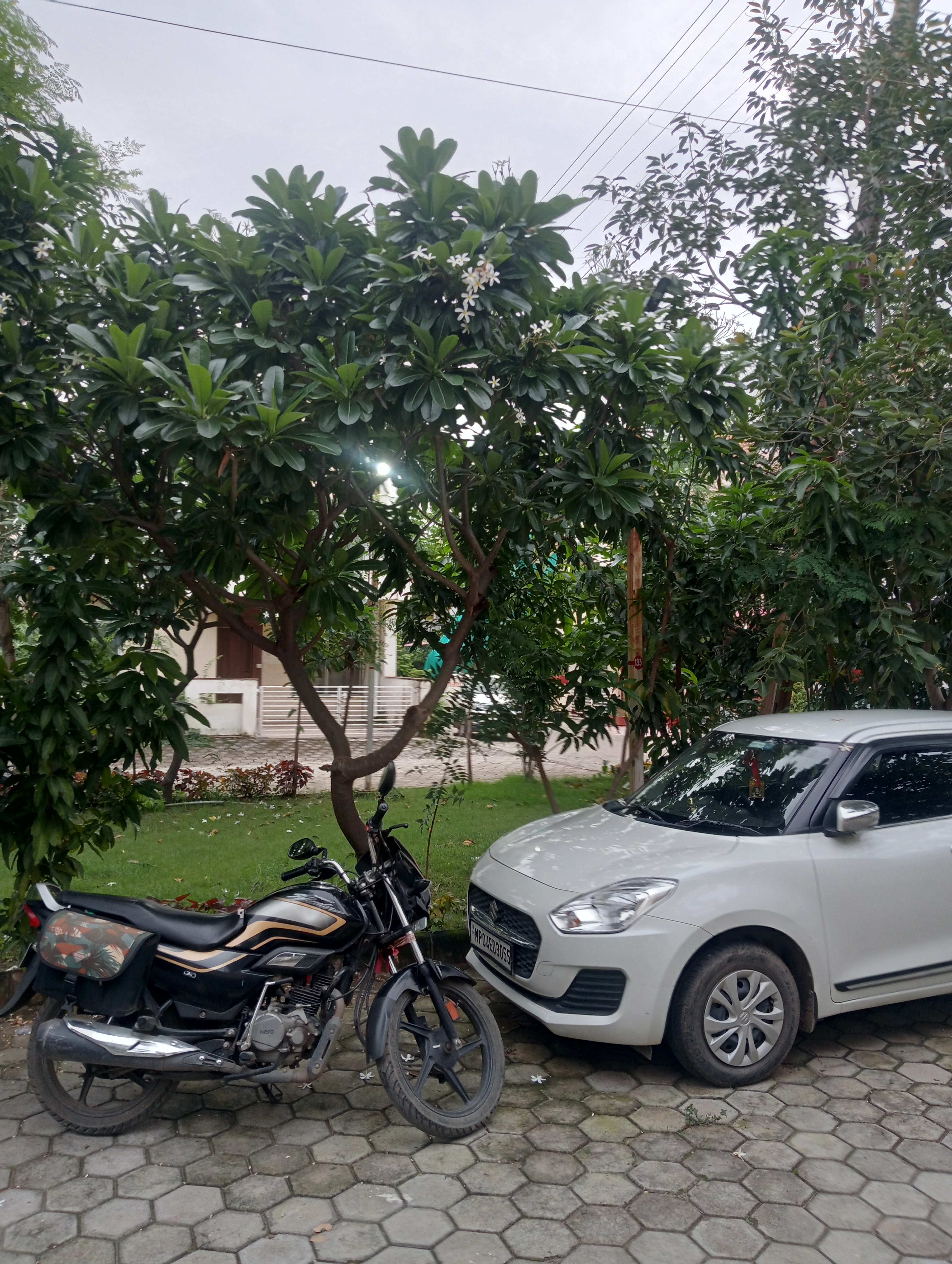 3 BHK Independent House For Sale in Amrit Pebble Bay Ph II