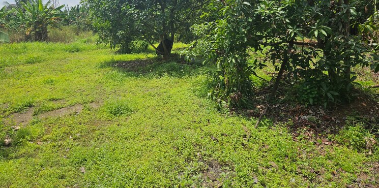 Garden, kuttoor  3921 Sq.Ft. Plot In Kuttoor Thrissur 8974275