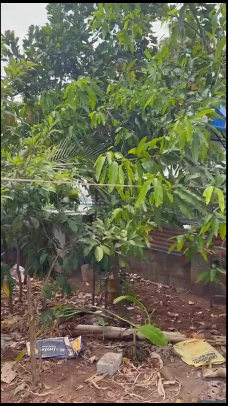 Garden, viyyur  5009 Sq.Ft. Plot In Viyyur Thrissur 8974352