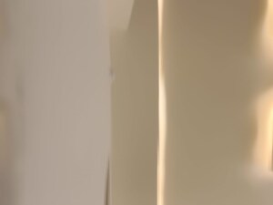 Furnished Amenities in 2 BHK Independent House at Touchwood The Woods Naubasta, Naubasta Kala – for Sale