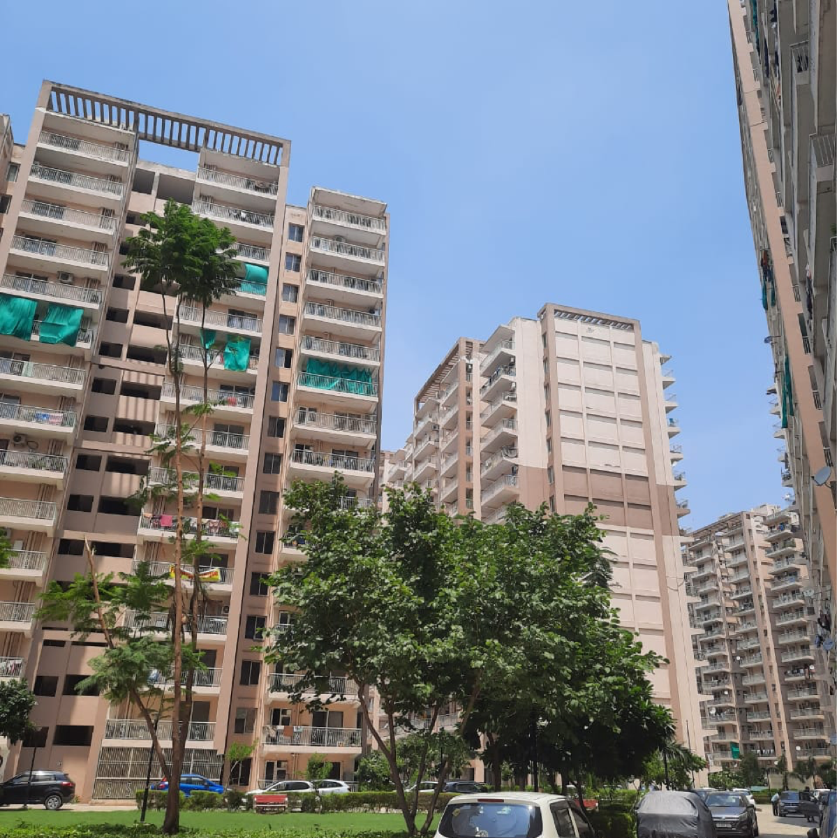 2 BHK Apartment For Rent in Shree Vardhman Green Court