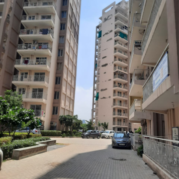 1 BHK Apartment For Rent in Shree Vardhman Green Court, Sector 90