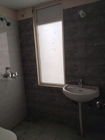 Bathroom in 2.5 BHK Apartment at Amrapali Dream Valley, Tech Zone 4 Greater Noida – for Rent