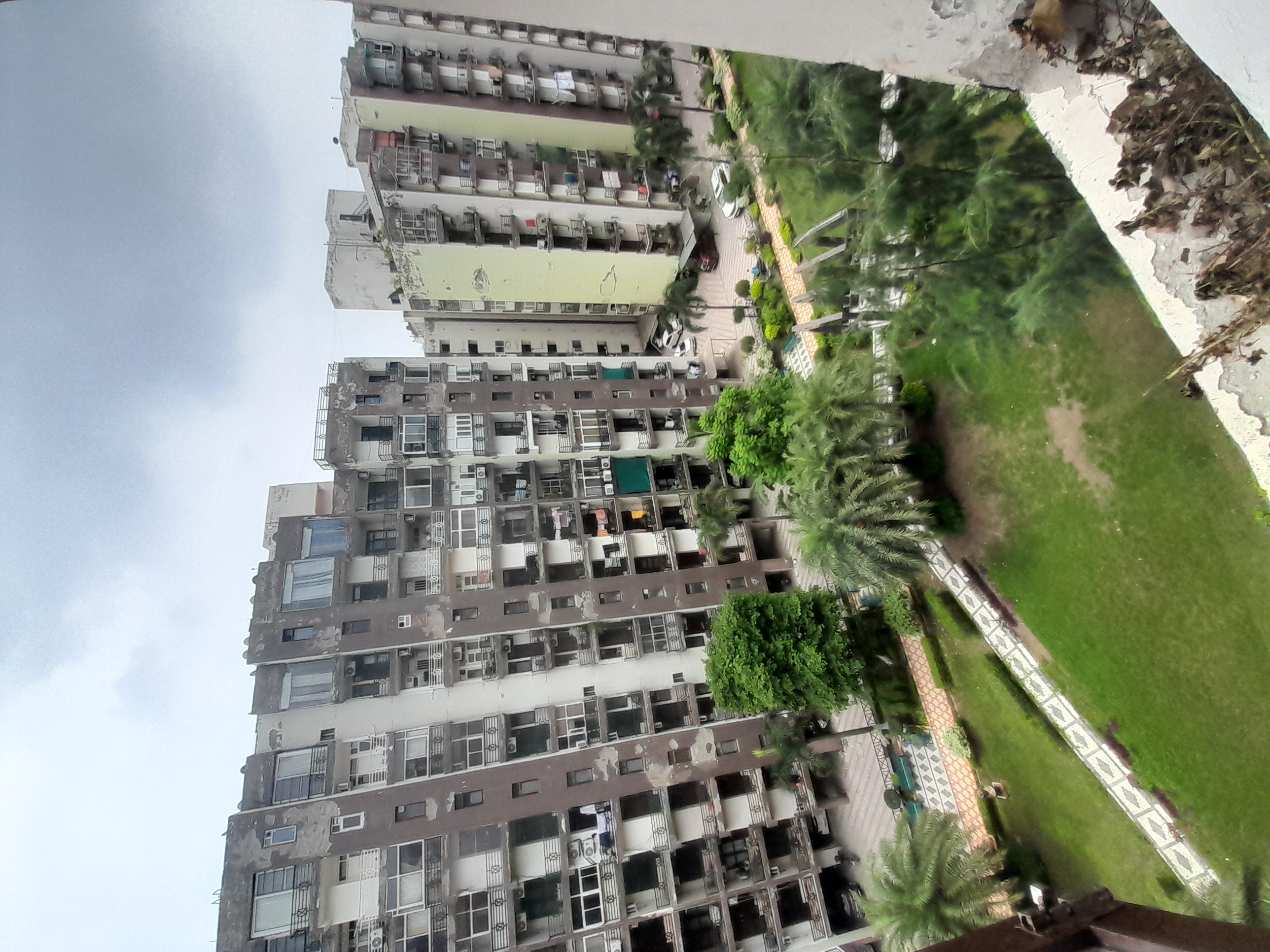 2 BHK + Pooja Room Apartment For Rent in Maya Garden City