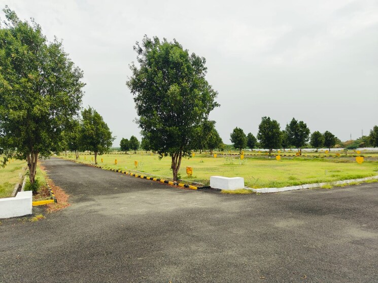 Garden, narasaraopet  200 Sq.Yd. Plot In Narasaraopet Guntur 8975194