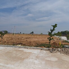 Plot For Sale in Fortune 18