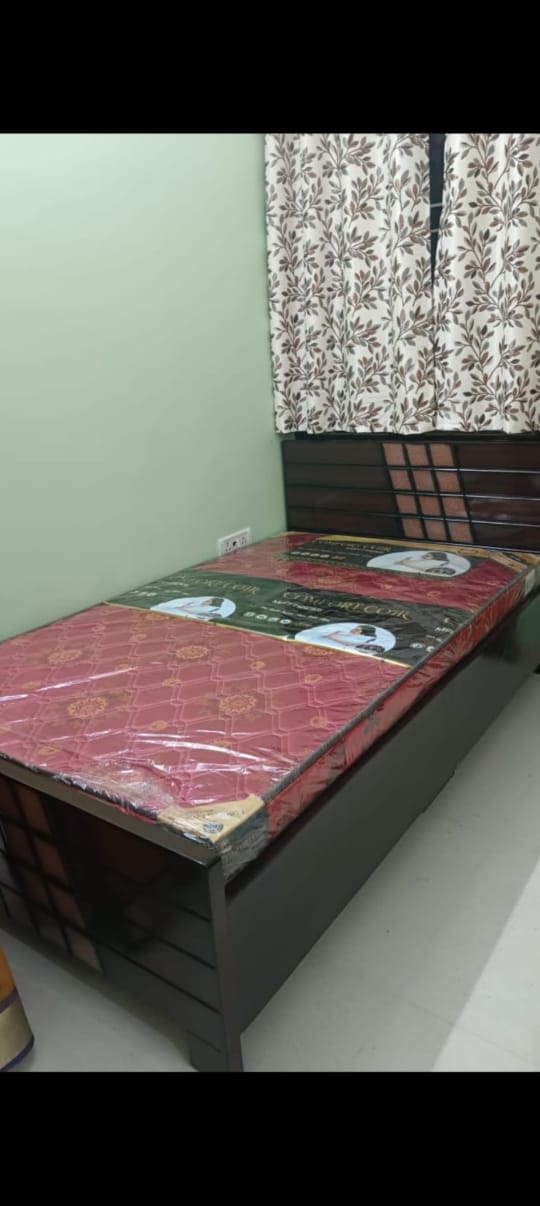 3 BHK Apartment For Rent in Bright Property 