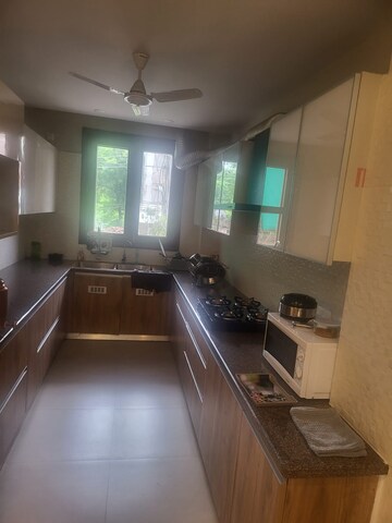Kitchen in 2 BHK Builder Floor at Sector 38 – for Rent