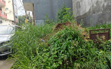 Plot For Sale in Sector 19 Dwarka