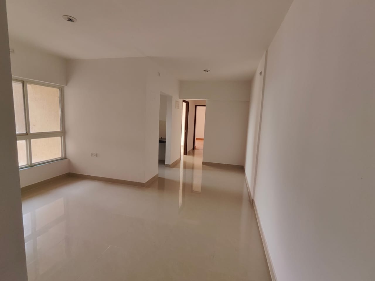1 BHK Apartment For Rent in DB Orchid Ozone