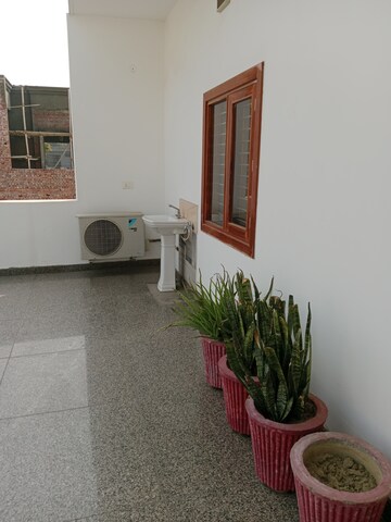 Terrace in 2 BHK Builder Floor at Huda – for Rent