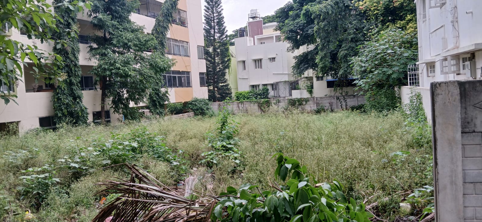 Plot For Sale in Vasanth Site 