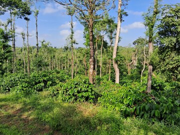 Plot Area in  Plot at Poorna Pragna Layout – for Sale