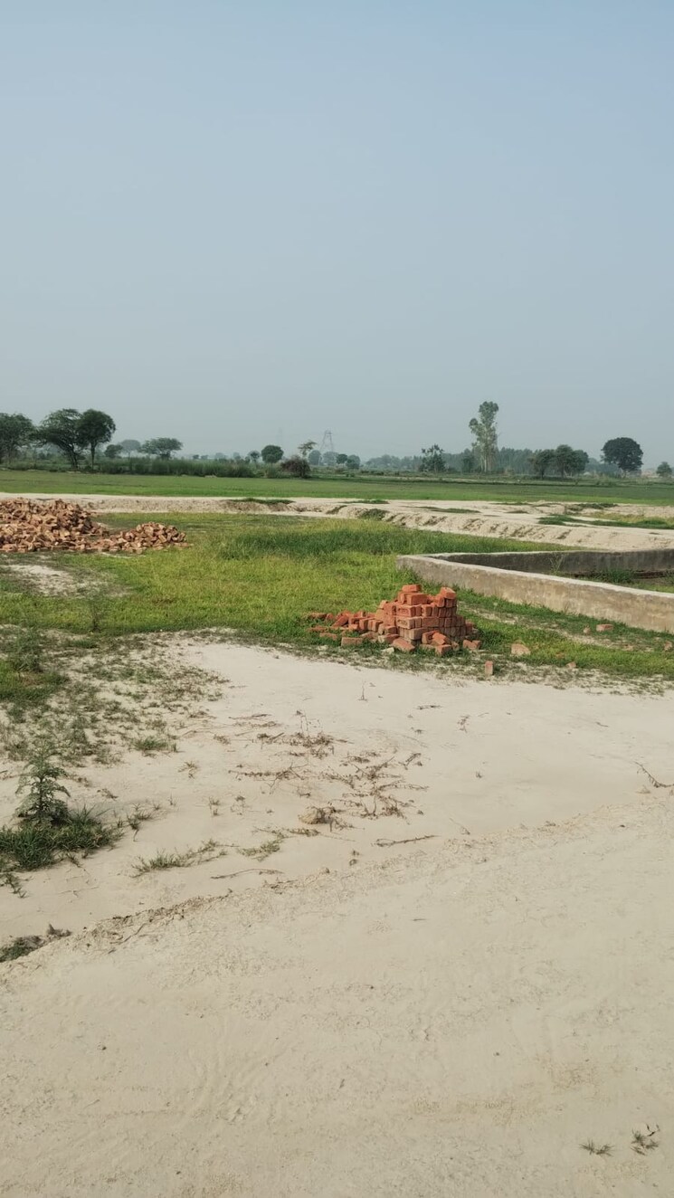 undefined, bamnikhera  305 Sq.Yd. Plot In Bamnikhera Palwal 8975784