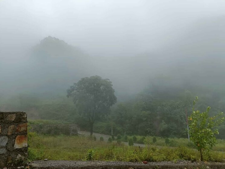 undefined, sahastradhara  303 Sq.Yd. Plot In Sahastradhara Dehradun 8975798