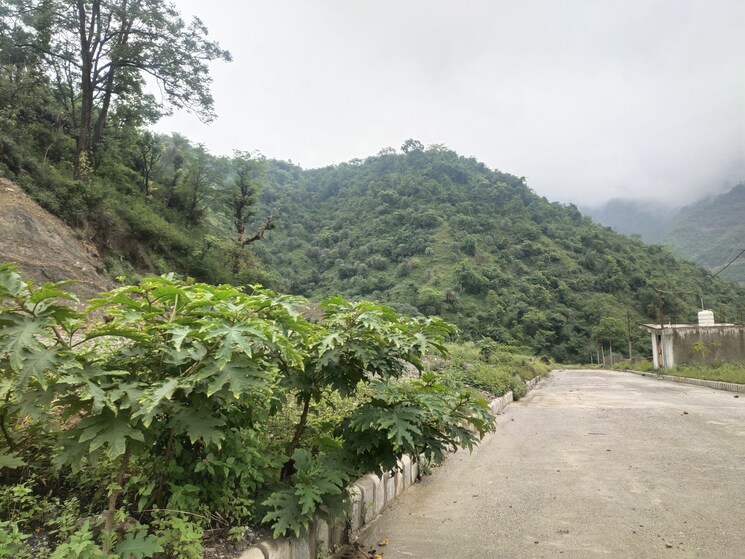 undefined, sahastradhara  303 Sq.Yd. Plot In Sahastradhara Dehradun 8975798