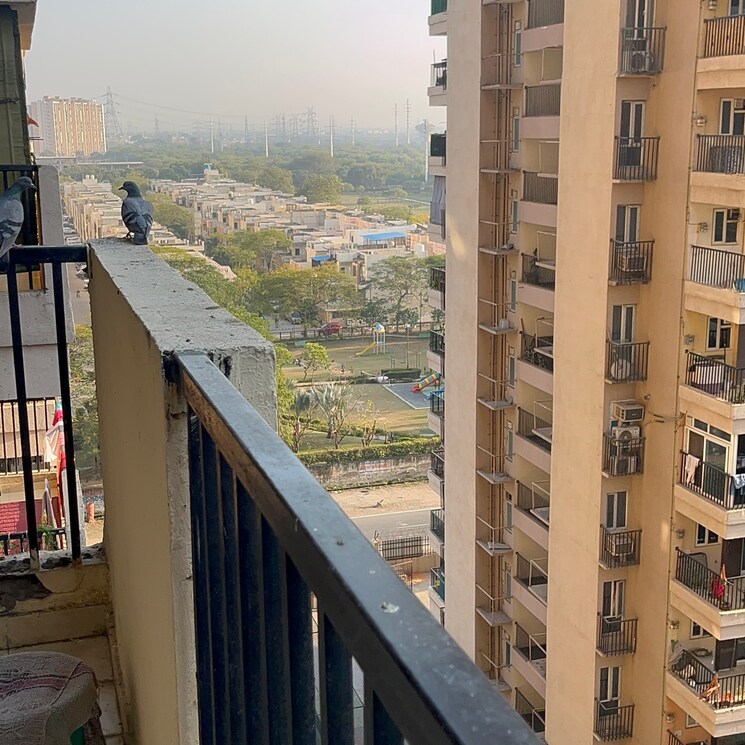 Balcony, gaur-atulyam 2 Bedroom 521 Sq.Ft. Apartment In Omicron I Greater Noida Greater Noida 8975856