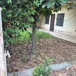 250 Sq.Mt. Plot in RWA Apartments Sector 61