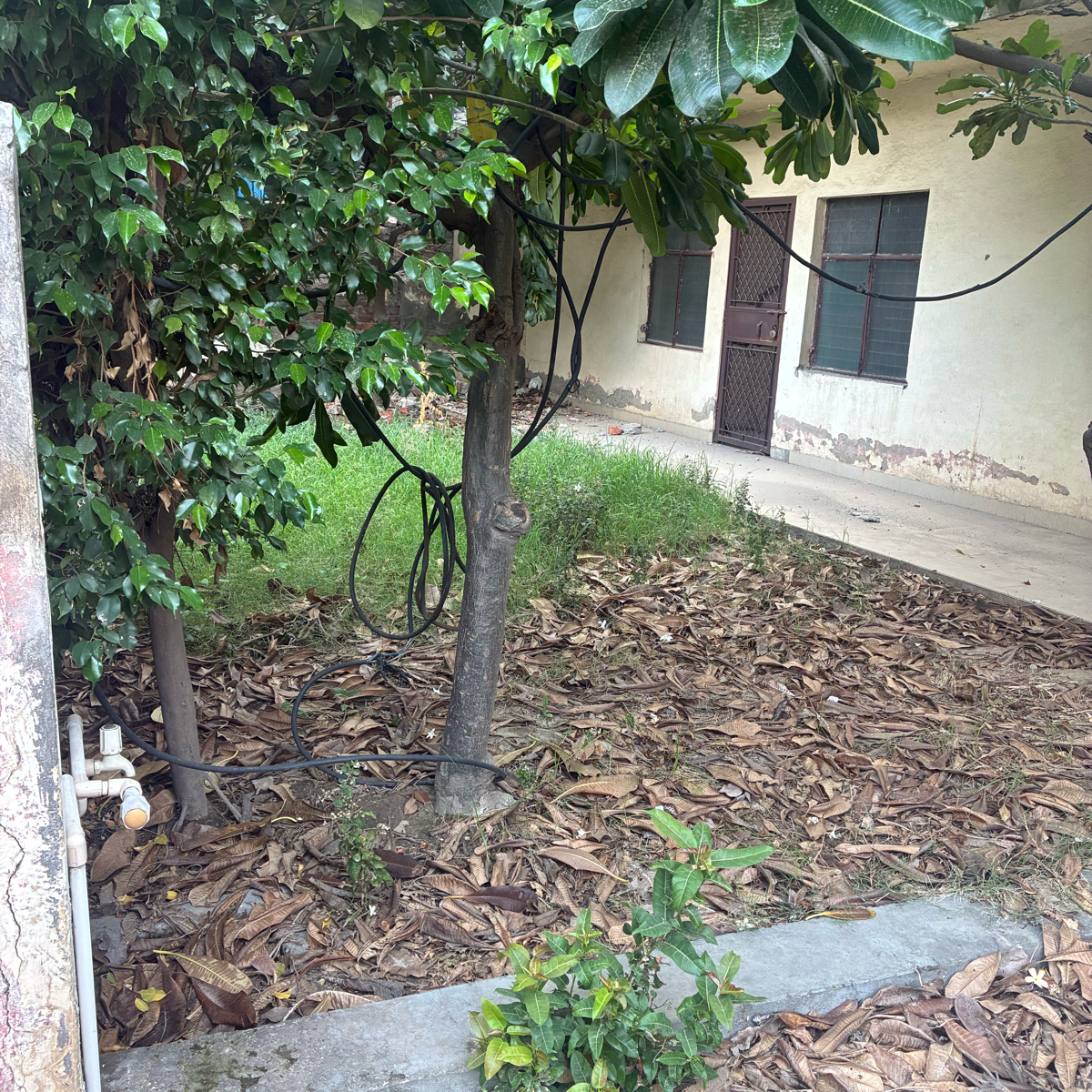 Plot For Sale in RWA Apartments Sector 61