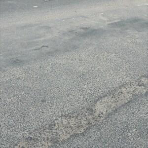 Plot Area in  Plot at RWA Apartments Sector 61, Sector 61 – for Sale