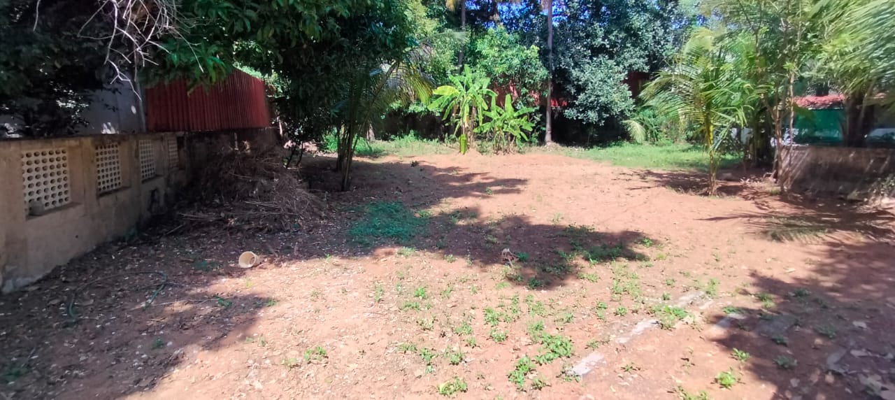 Plot For Sale in Punkunnam