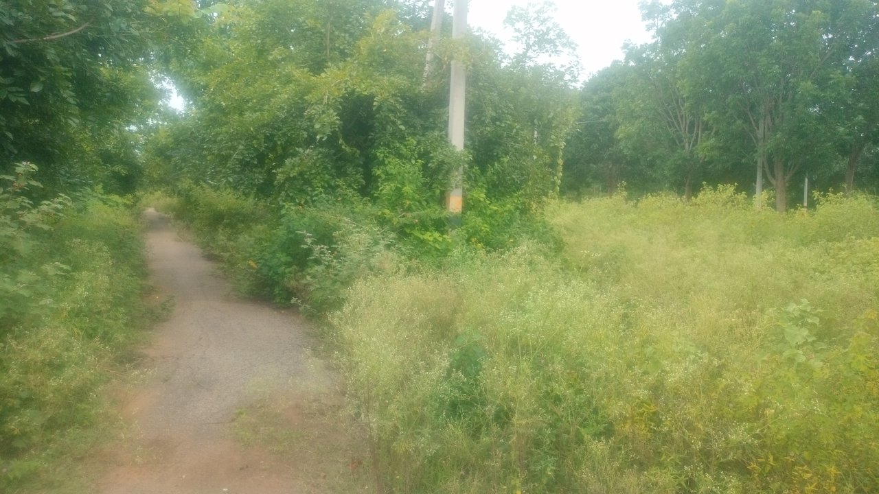 Plot For Sale in KHB Suryanagar Jigala