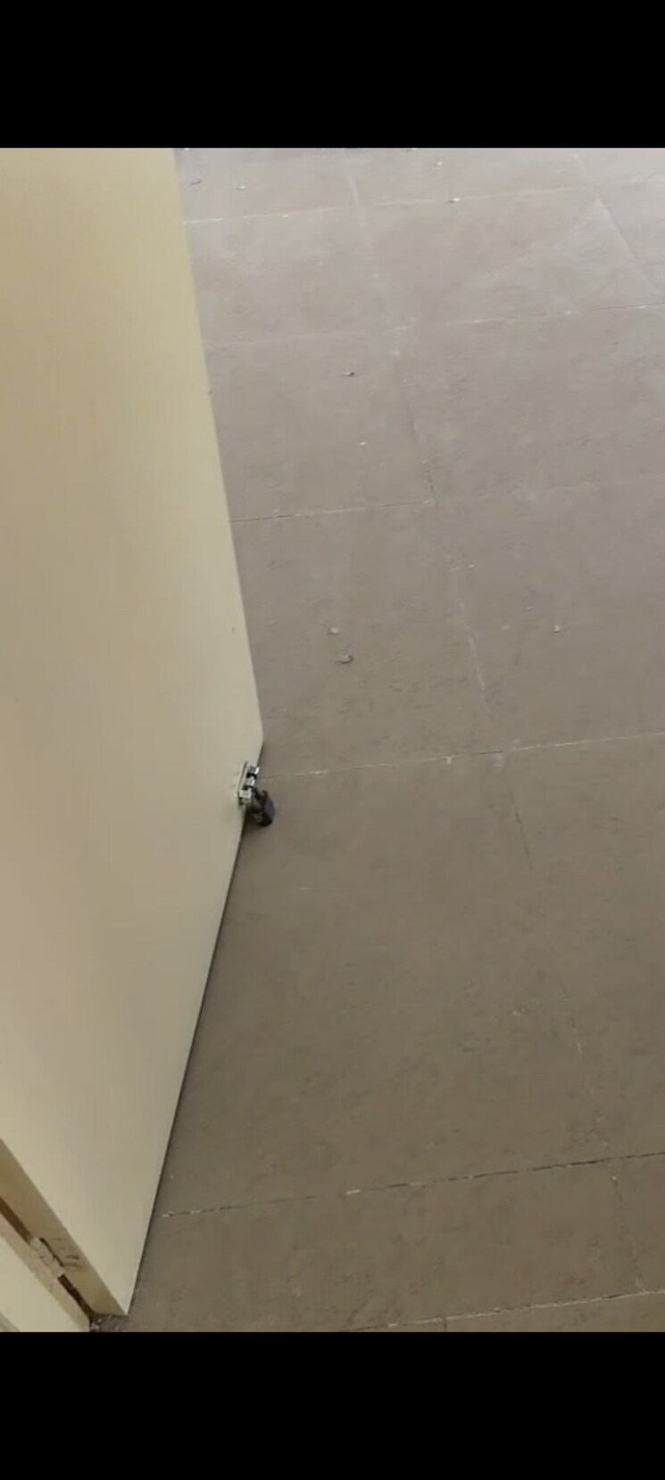 Room, gaur-city-2-16th-avenue 3.5 Bedroom 1500 Sq.Ft. Apartment In Sector 16c Greater Noida Greater Noida 8976779