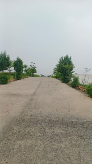 Plot Area in  Plot at Sector 30 Yamuna Expressway – for Sale