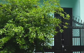 2 BHK Villa For Rent in Solutrean Delta City Centre, Delta I Greater Noida