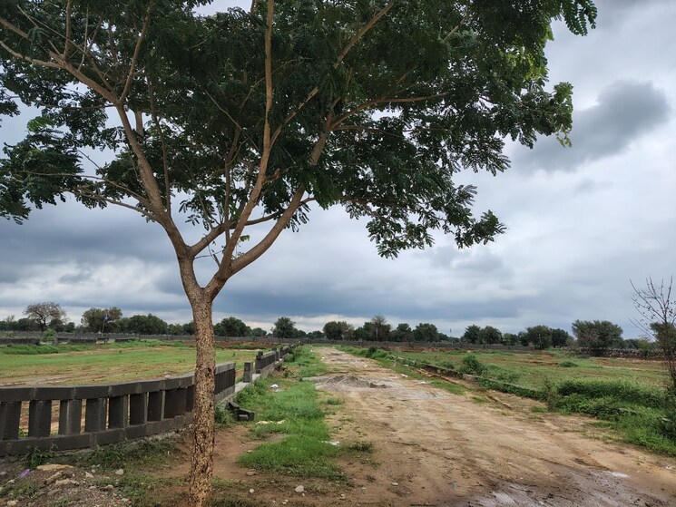 undefined, vrb-amber  111 Sq.Yd. Plot In Neota Jaipur 8976863