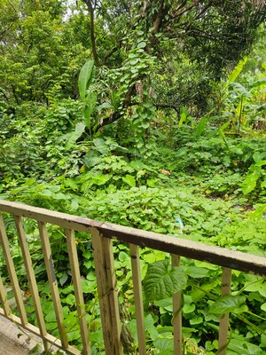 Balcony in 4 BHK Independent House at Rajesh Apartments, Kelva – for Sale