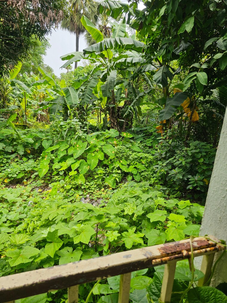 Garden, rajesh-apartments 4 Bedroom 6300 Sq.Ft. Independent House In Kelva Palghar 8977097