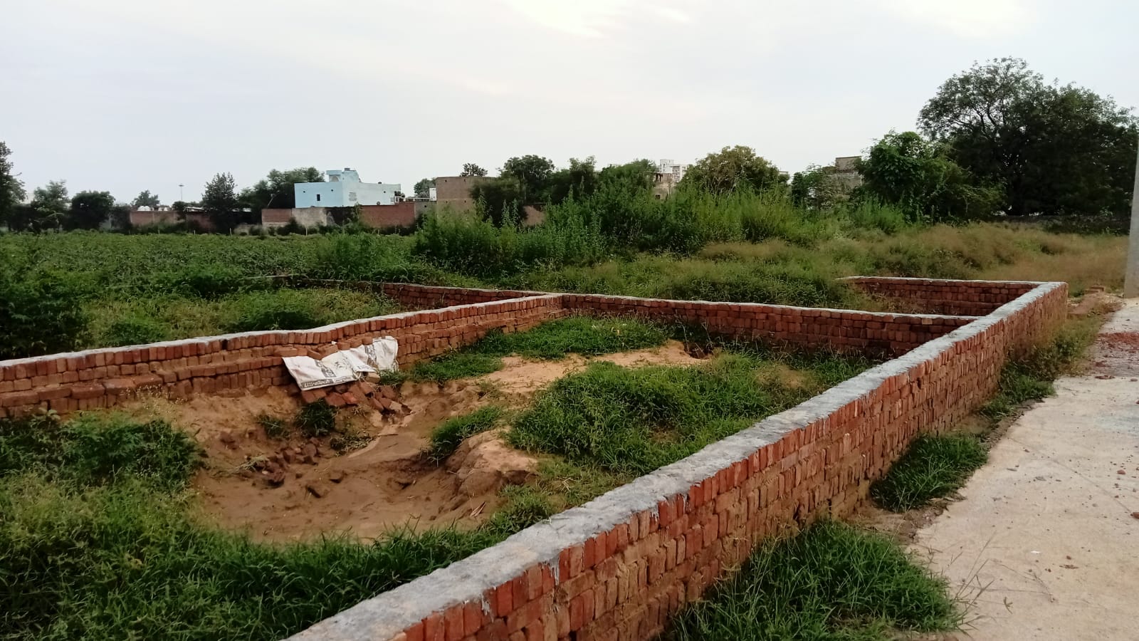 Plot For Sale in Dadri