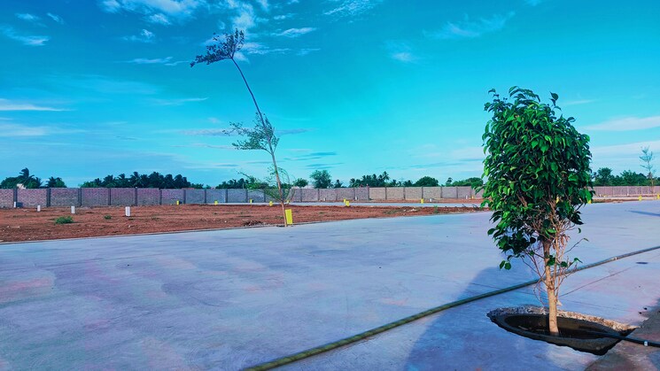 Exterior View, kk nagar  1500 Sq.Ft. Plot In Kk Nagar Trichy 8977169