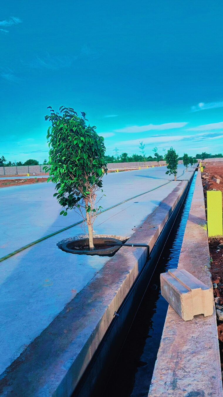 Exterior View, kk nagar  1500 Sq.Ft. Plot In Kk Nagar Trichy 8977169