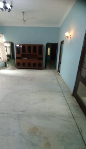 5 BHK Independent House For Rent in Sector 14