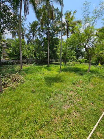 Plot Area in  Plot at Kuriachira – for Sale