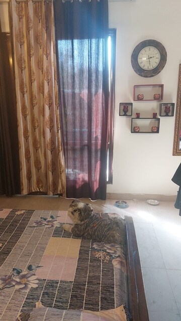 Living Room in 3 BHK Builder Floor at Dlf Phase iv – for Rent
