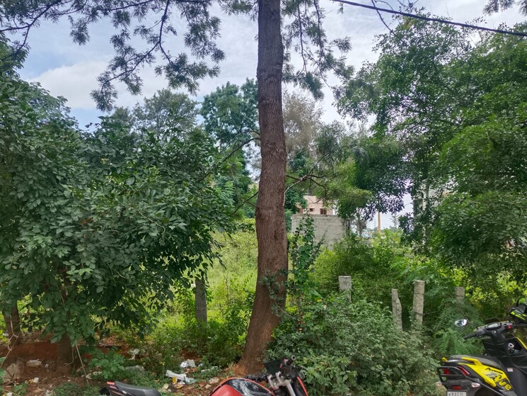 undefined, doddagubbi  2400 Sq.Ft. Plot In Doddagubbi Bangalore 8977525