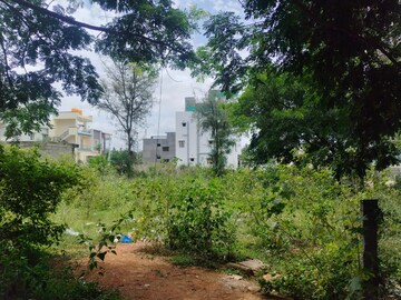  Plot For Sale in Doddagubbi