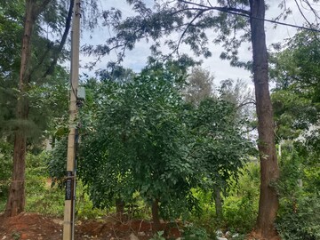 Plot Area in  Plot at Doddagubbi – for Sale