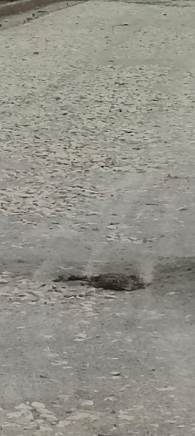 undefined, raebareli road  1340 Sq.Ft. Plot In Raebareli Road Lucknow 8977670