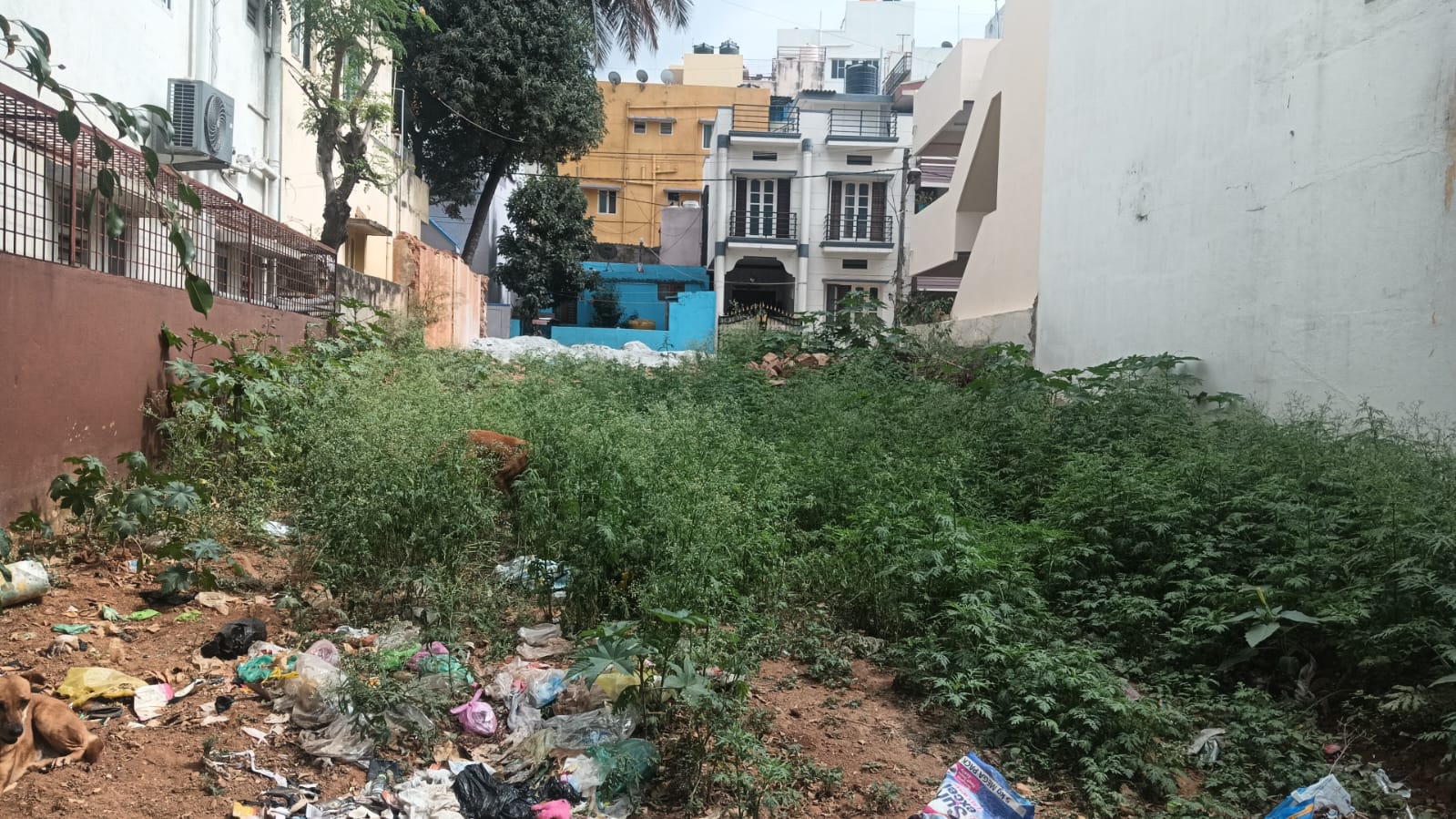 Plot For Sale in Nishchay