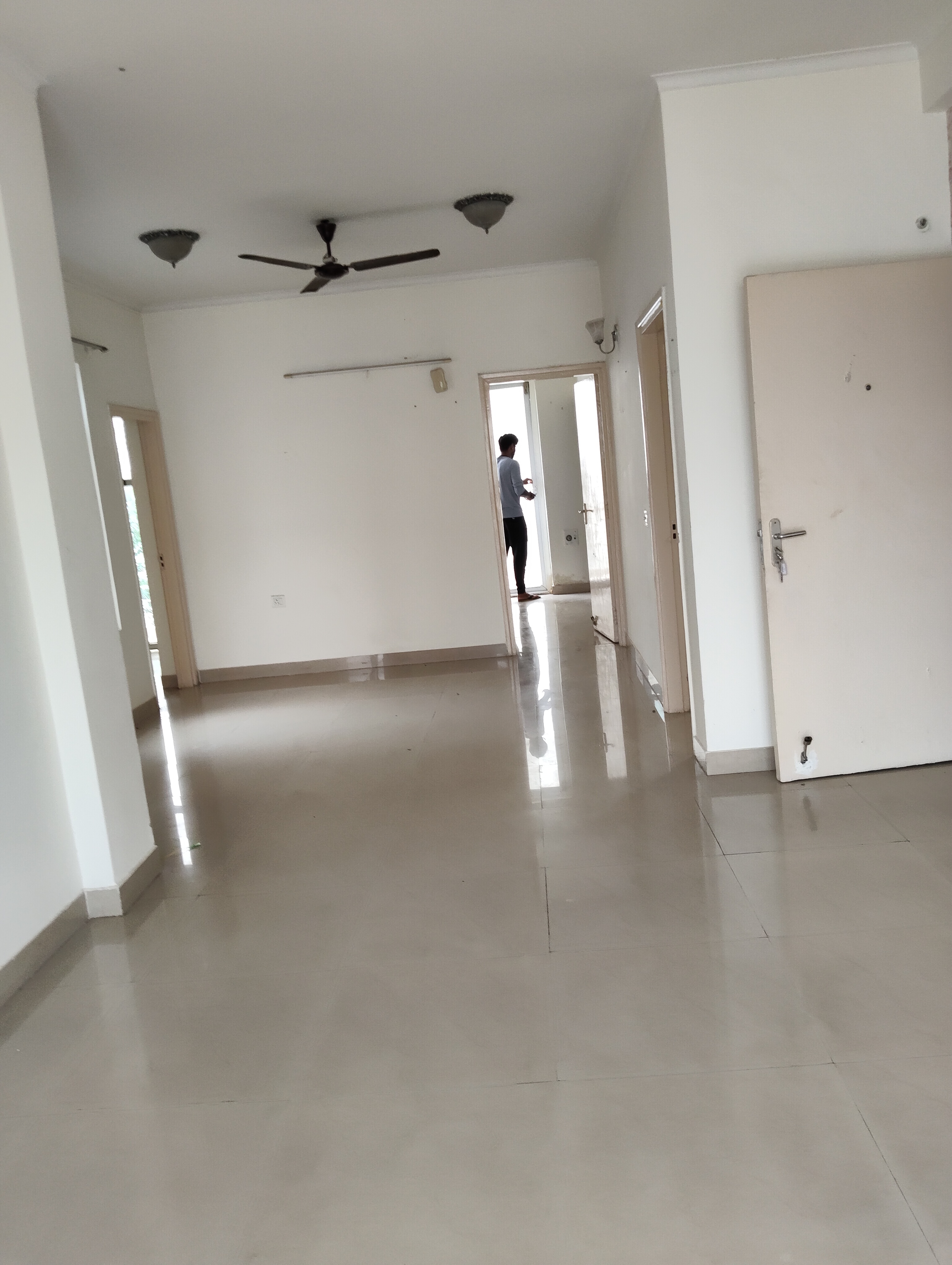 2.5 BHK + Study Room Apartment For Rent in Orchid Island