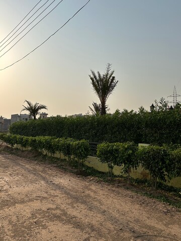 Plot Area in  Plot at Kharar – for Sale